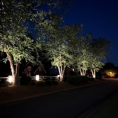 HOA entrance tree lighting